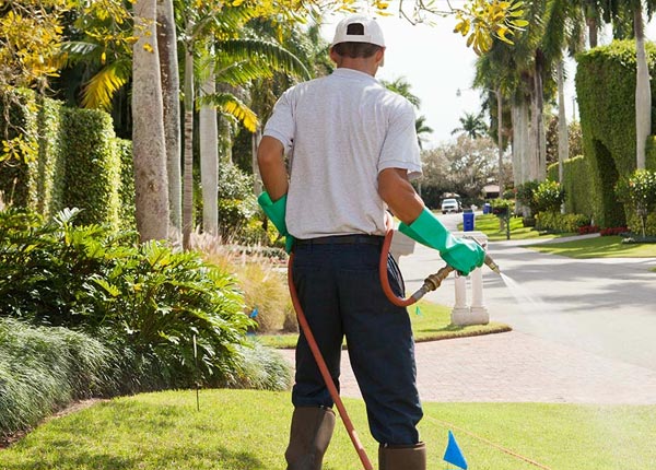 About Atlanta MO Pest Control